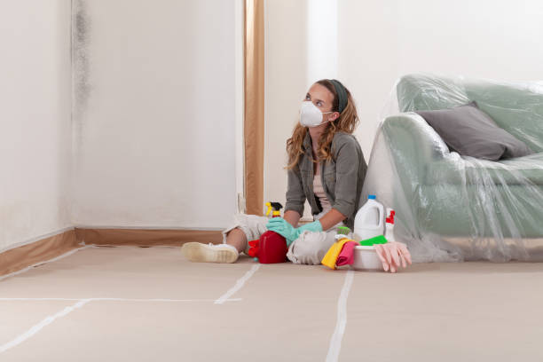 Reliable Mold Remediation contractor in Surry, VA by WQB Mold Removal